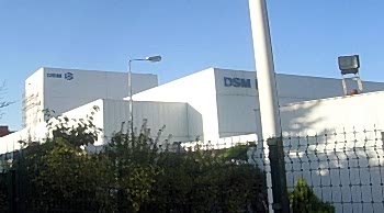 DSM